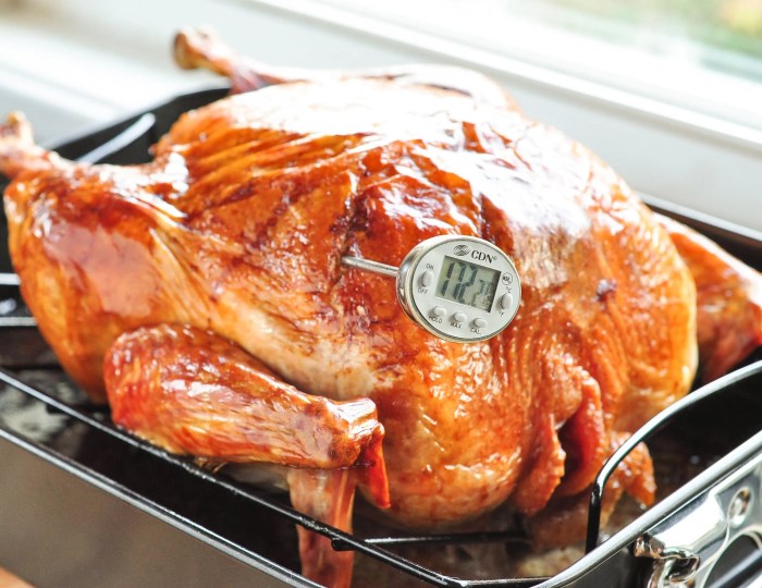 How to cook turkey southern style