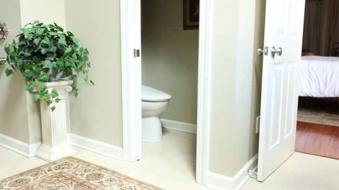 How to decorate a separate toilet room