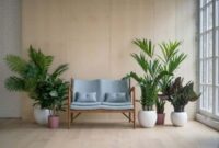 How to decorate my living room with plants